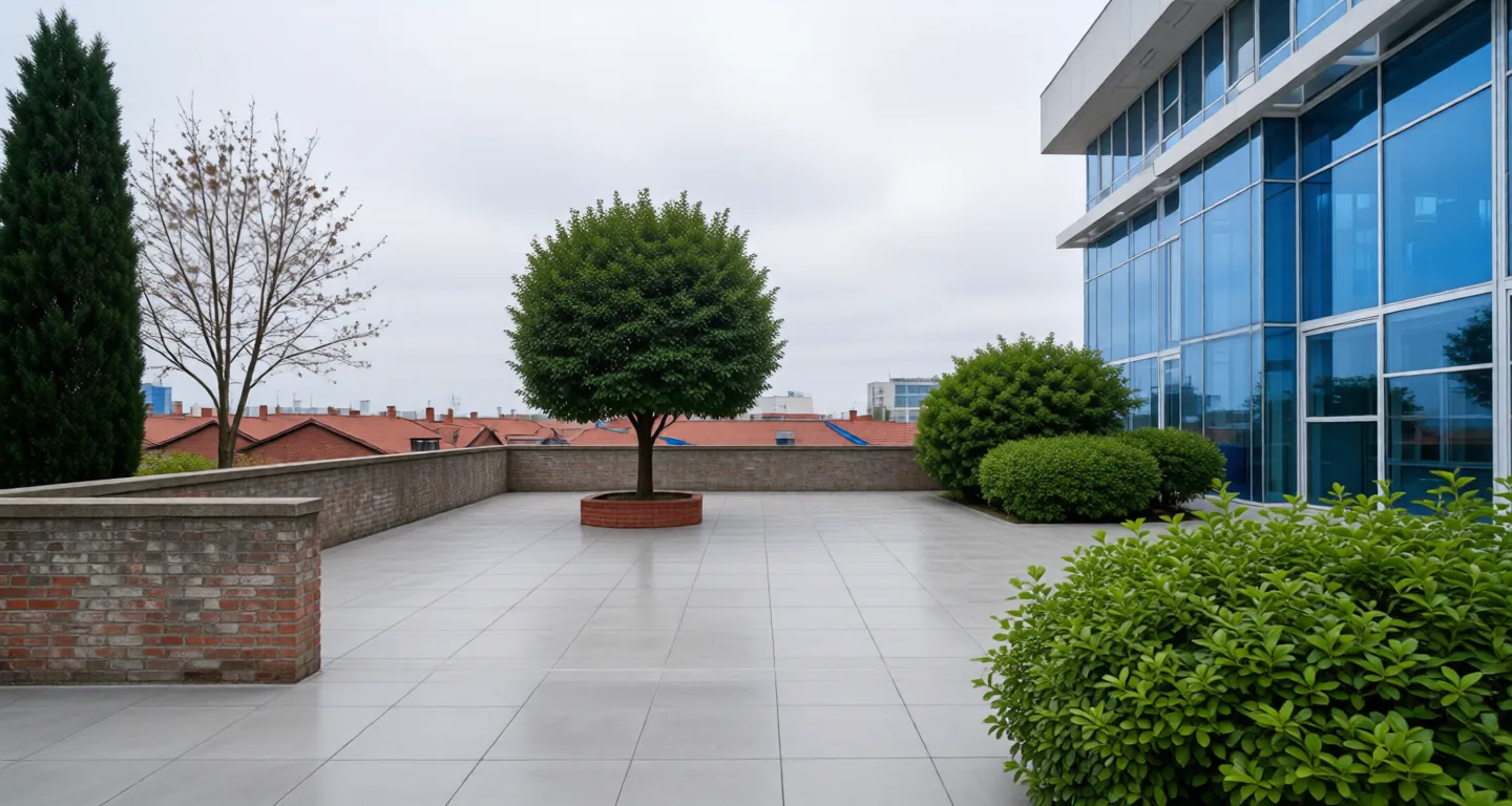 View 19